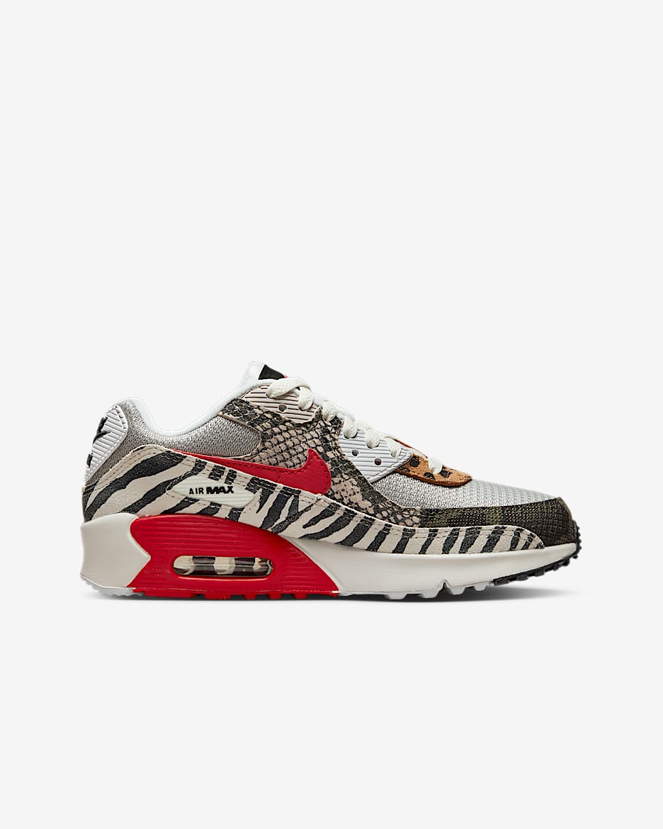 Nike Air Max 90 Big Kids Shoes